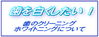 �z���C�g�j���O�ɂ���